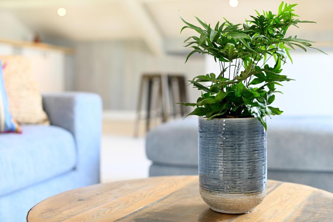 Loft In De Polder Apartment Grootschermer Ngoại thất bức ảnh
